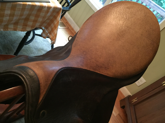 saddle